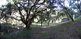 Enlarge photo 58