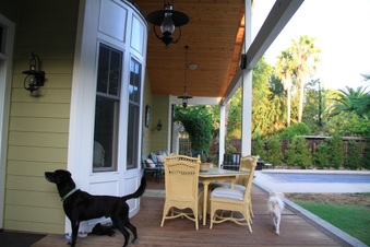 Enlarge photo 5