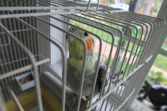 Enlarge photo 39