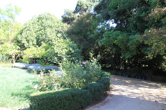 Enlarge photo 5