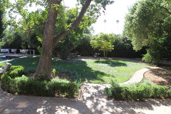 Enlarge photo 84
