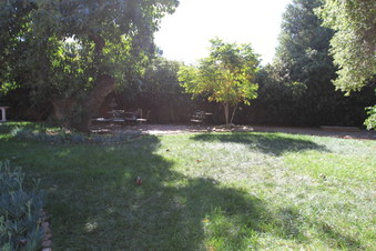 Enlarge photo 88