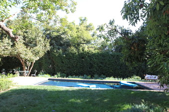 Enlarge photo 89