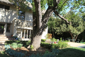 Enlarge photo 90