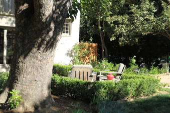 Enlarge photo 91