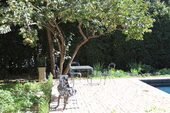 Enlarge photo 97