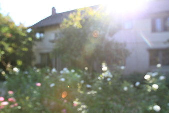 Enlarge photo 105
