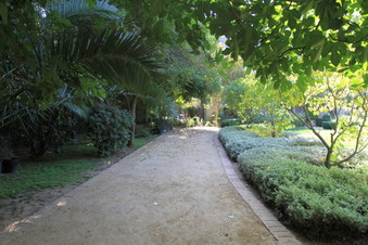 Enlarge photo 106
