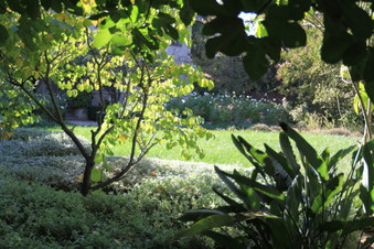 Enlarge photo 107