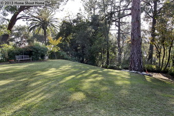 Enlarge photo 67