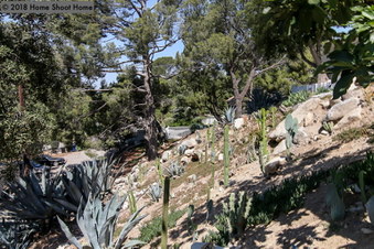 Enlarge photo 47