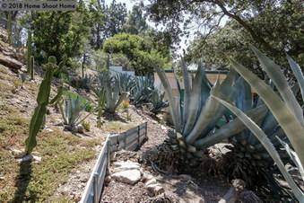 Enlarge photo 48