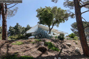 Enlarge photo 57