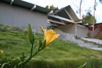 Enlarge photo 10