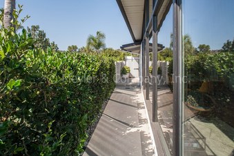 Enlarge photo 65