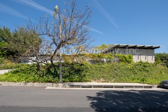 Enlarge photo 77