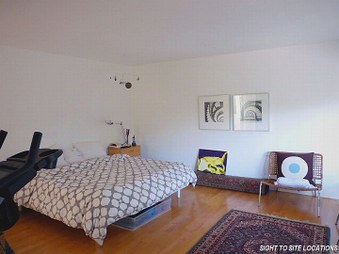 Enlarge photo 41