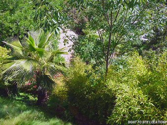 Enlarge photo 53