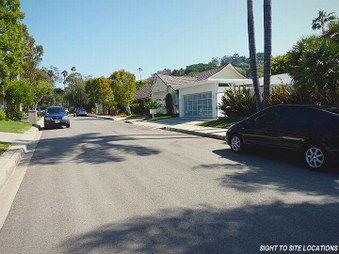Enlarge photo 80