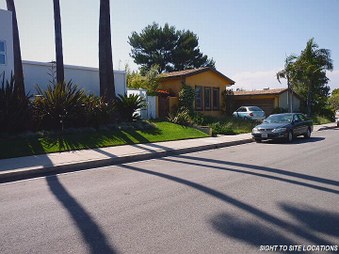 Enlarge photo 82