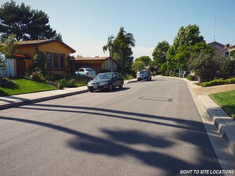 Enlarge photo 83