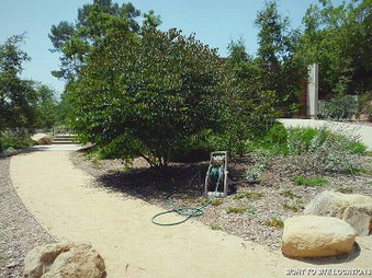 Enlarge photo 65