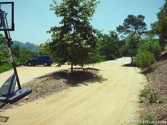 Enlarge photo 67