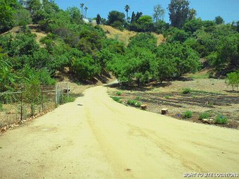 Enlarge photo 68