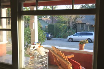 Enlarge photo 35