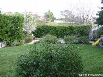 Enlarge photo 21