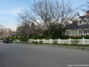 Enlarge photo 6