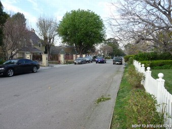 Enlarge photo 5