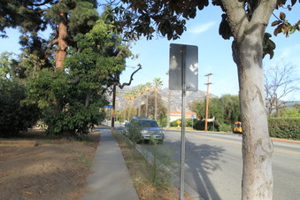 Enlarge photo 14