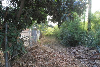 Enlarge photo 68