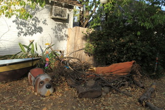 Enlarge photo 87