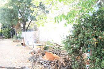 Enlarge photo 89