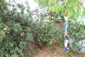 Enlarge photo 90