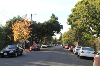 Enlarge photo 106