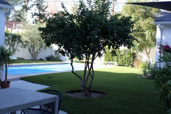Enlarge photo 25