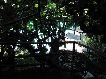 Enlarge photo 85