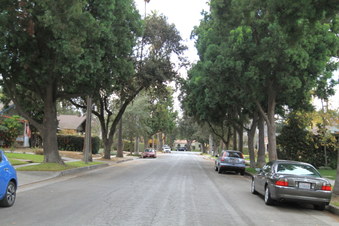 Enlarge photo 2