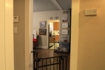 Enlarge photo 44