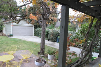 Enlarge photo 53