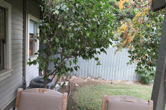 Enlarge photo 56