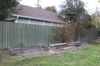 Enlarge photo 59