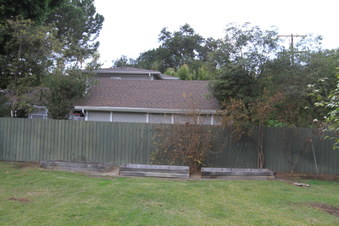 Enlarge photo 65