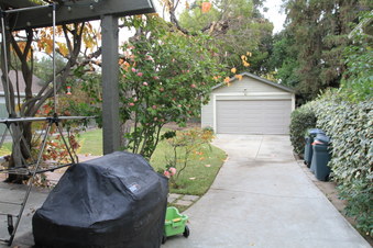 Enlarge photo 72
