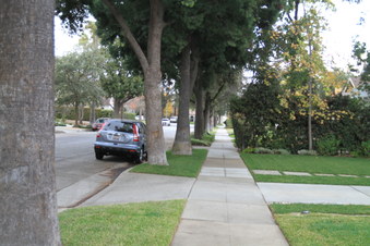 Enlarge photo 87
