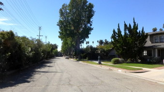 Enlarge photo 40