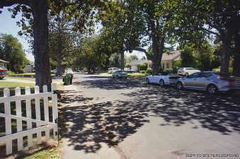 Enlarge photo 78